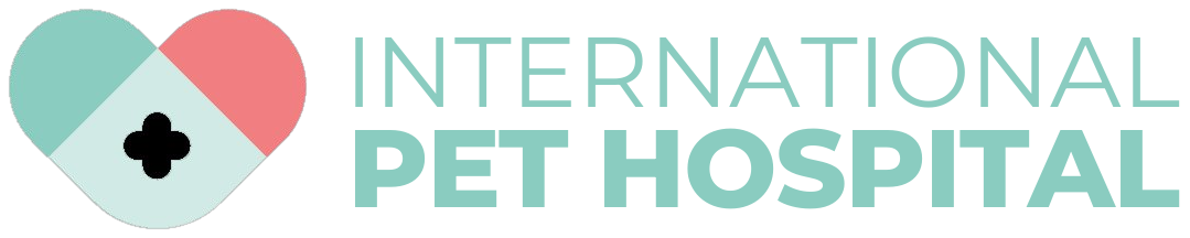International Pet Hospital