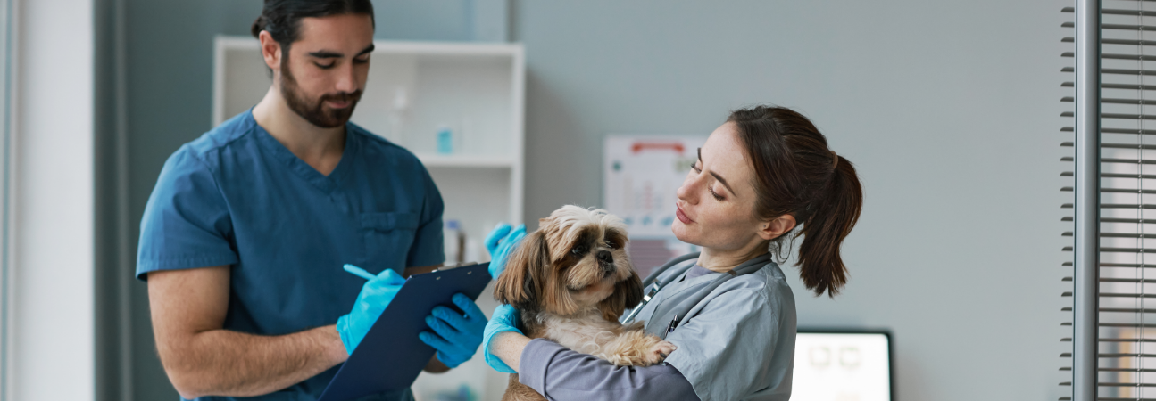 International Pet Hospital