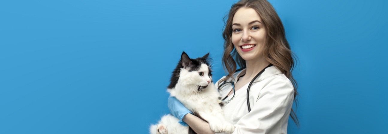 International Pet Hospital